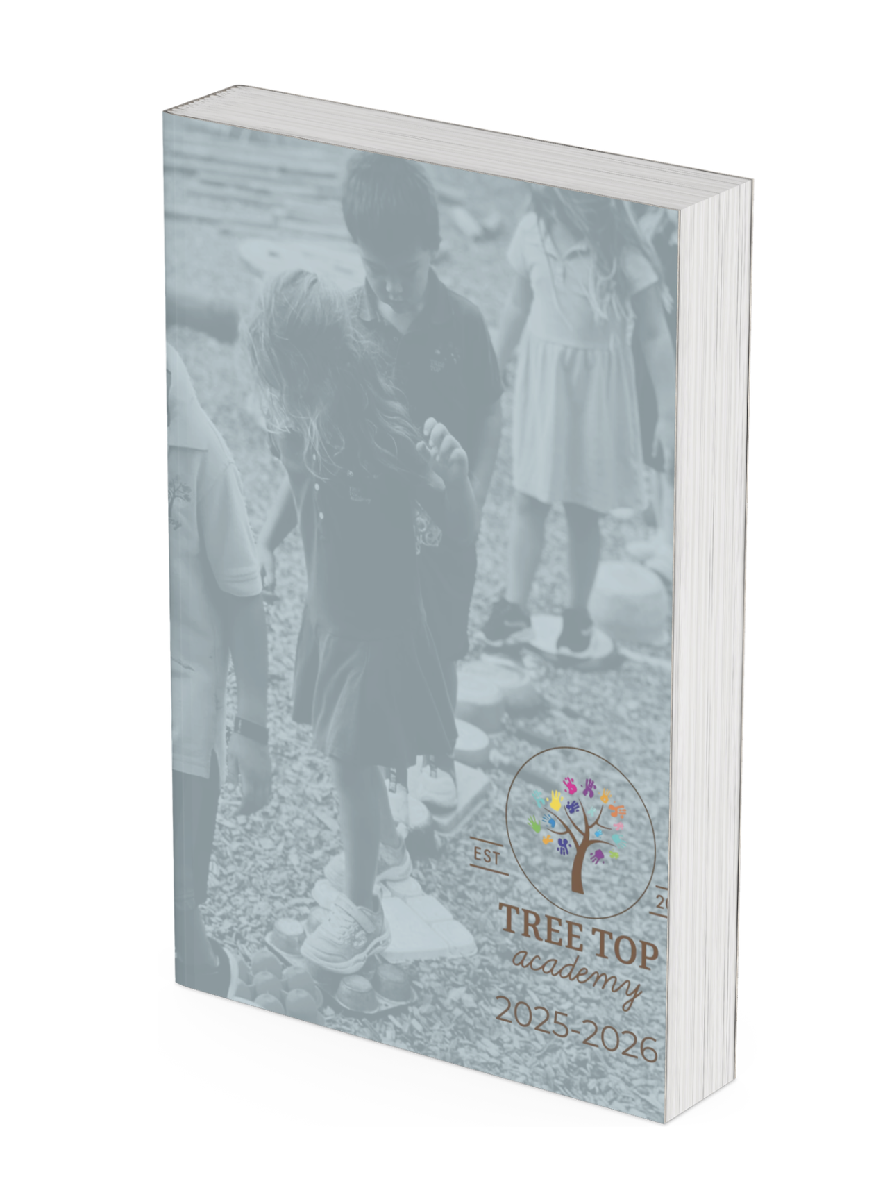 Screenshot 2026-03-11 at 1.03.48 PM.png