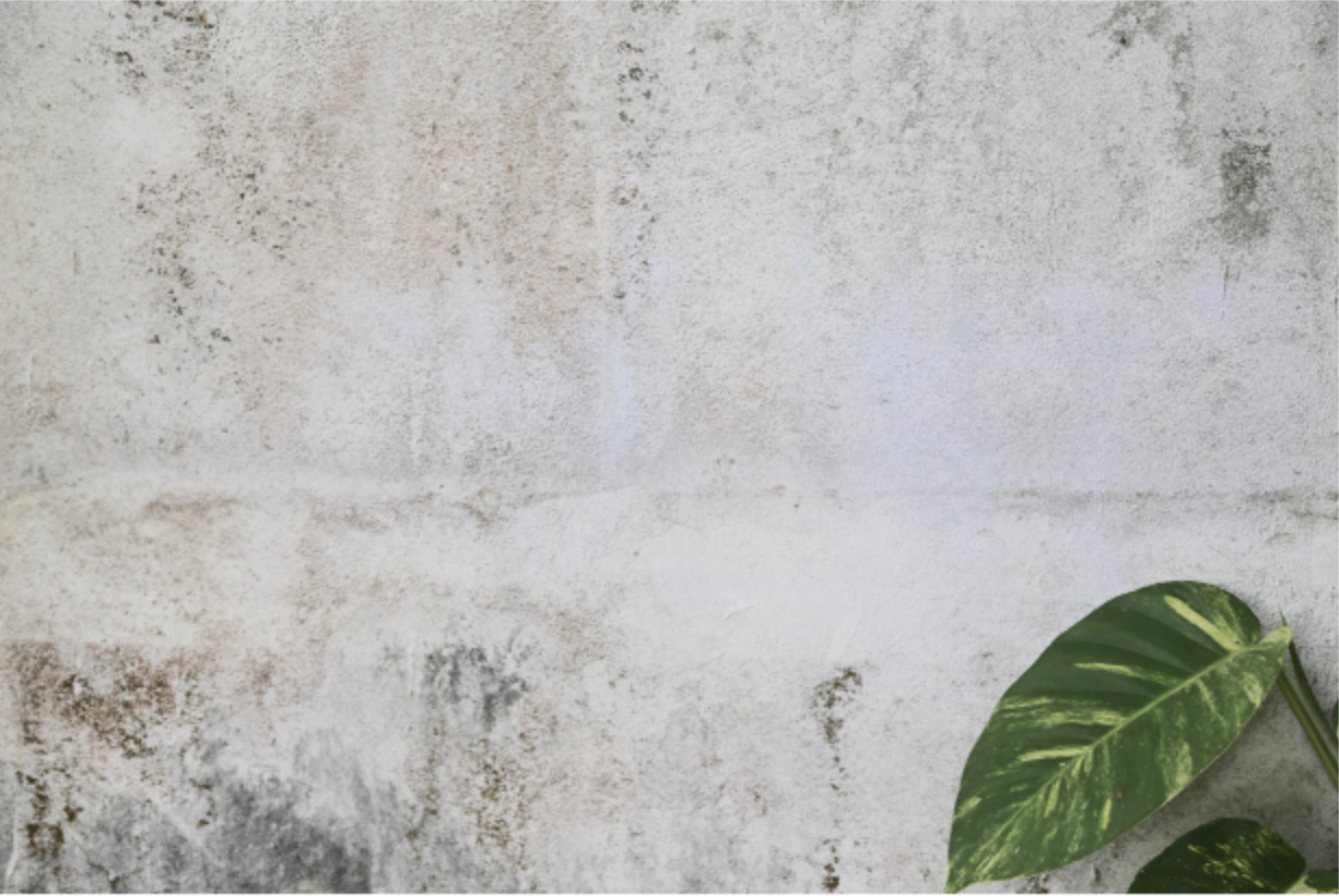 Screen Shot 2022-02-17 at 10.57.26 PM.png