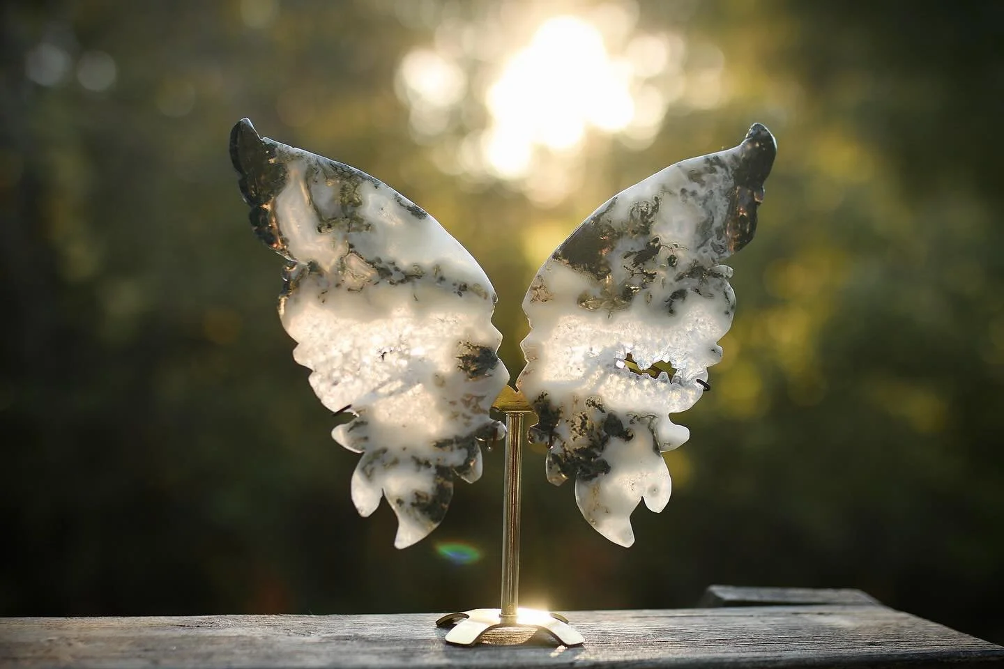 𝓛𝓾𝓷𝓪 𝓢𝓸𝓾𝓵 𝓲𝓼 𝓵𝓲𝓿𝓮! 💻🎉🥳

Butterflies are said to represent periods of transformation, growth, and new beginnings, making this Moss Agate butterfly a powerful representation of spreading my wings and growing my small business into some