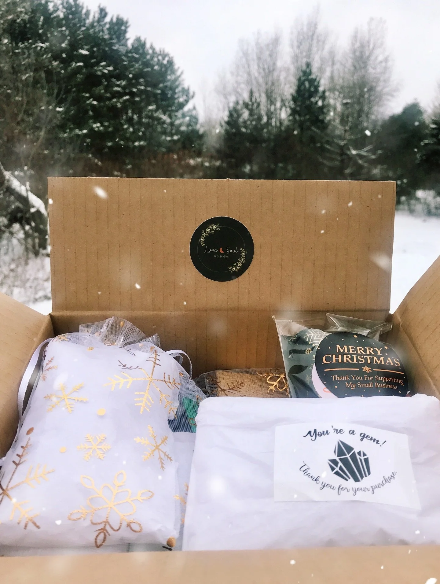 ❄️ 𝓜𝓪𝓰𝓲𝓬 𝓜𝓪𝓲𝓵 ❄️
A package full of magical treasures delivered right to your door! ✨ 💎 Thank you for shopping small this holiday season and choosing a Canadian business. Eternally grateful for all of the love and trust. 🖤

Take 15% off as 