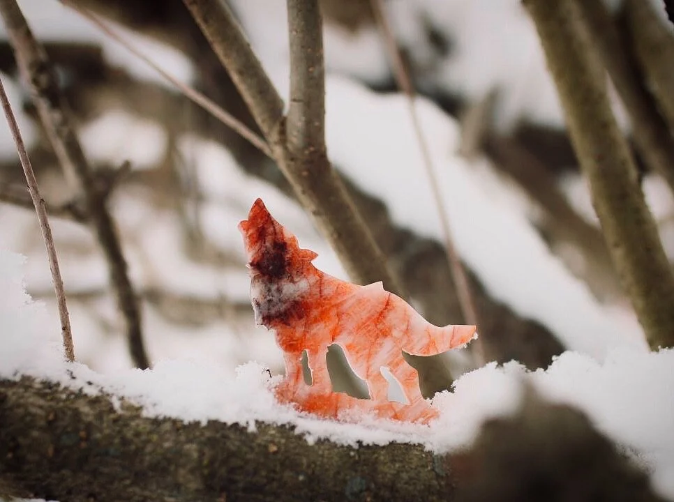 &ldquo;Wolves and women have much in common. Both share a wild spirit. Women and wolves are instinctual creatures, able to sense the unseen.&rdquo; 🐺 - Clarissa Pinkola Est&eacute;s

Blessed full wolf moon, my loves. May the energy stir a gentle rem