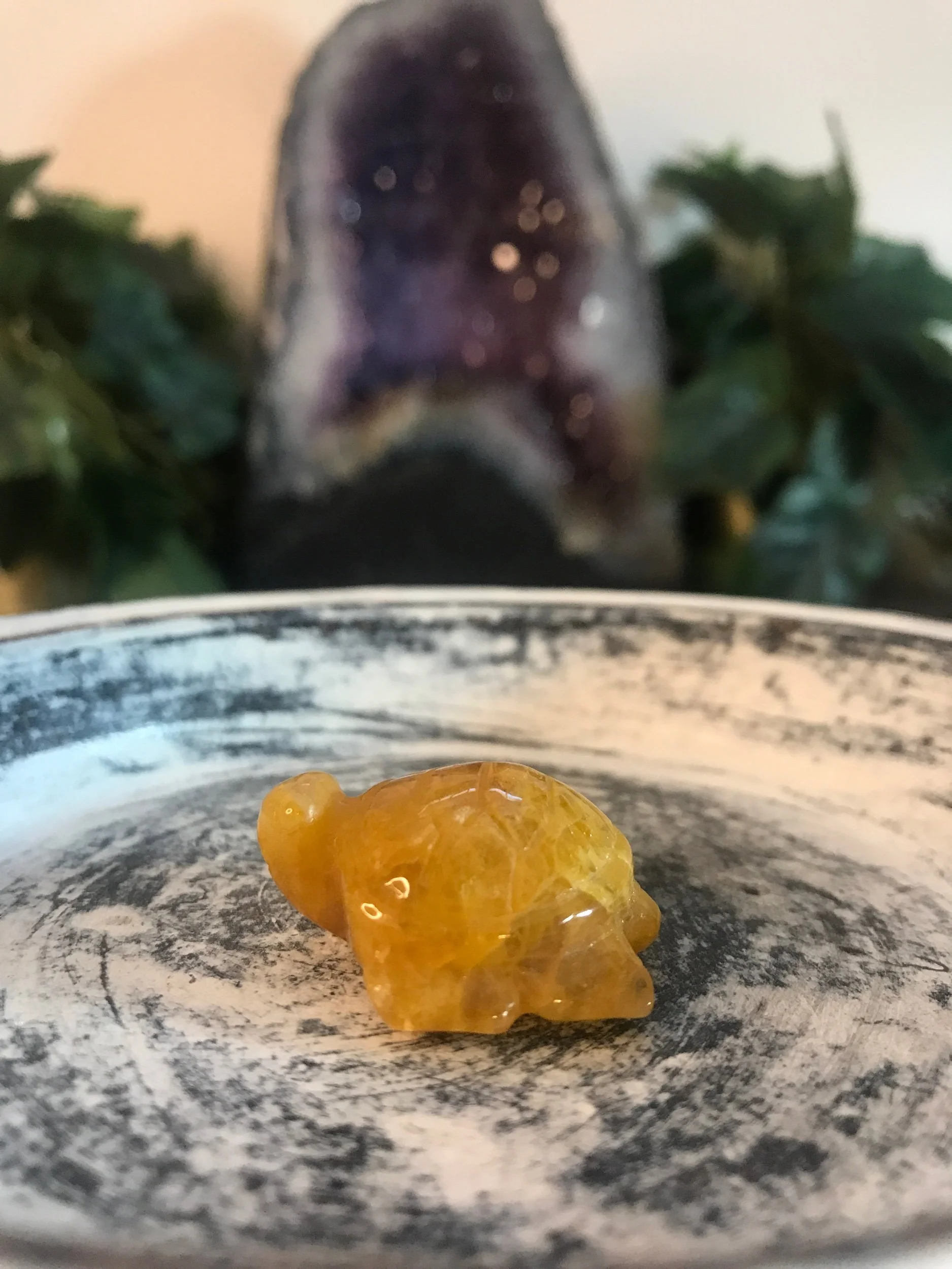 Golden Healer Turtle