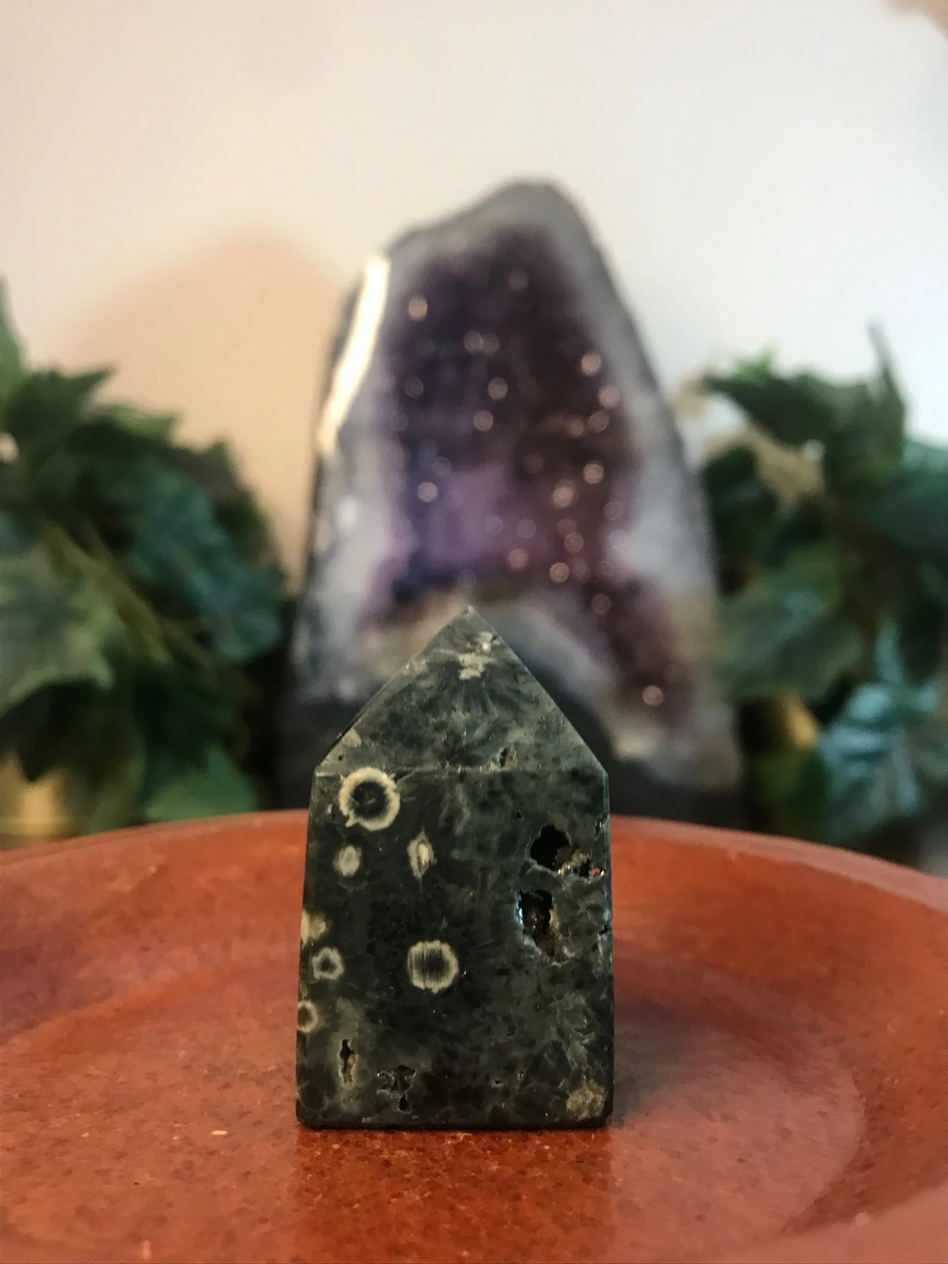 Green Orbicular Ocean Jasper