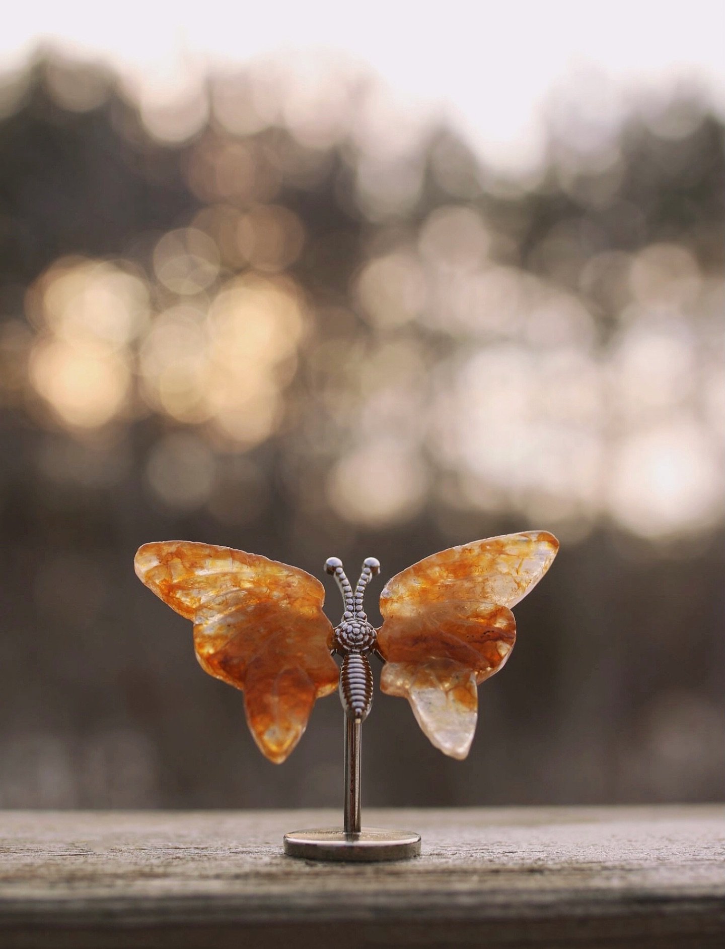 Spring Equinox Blessings! 🦋

May our wings gently expand like the butterfly as we bloom alongside the flowers of spring. 🌷

Browse a beautiful selection of crystal butterflies that are waiting to guide you through the season of renewal and rebirth.