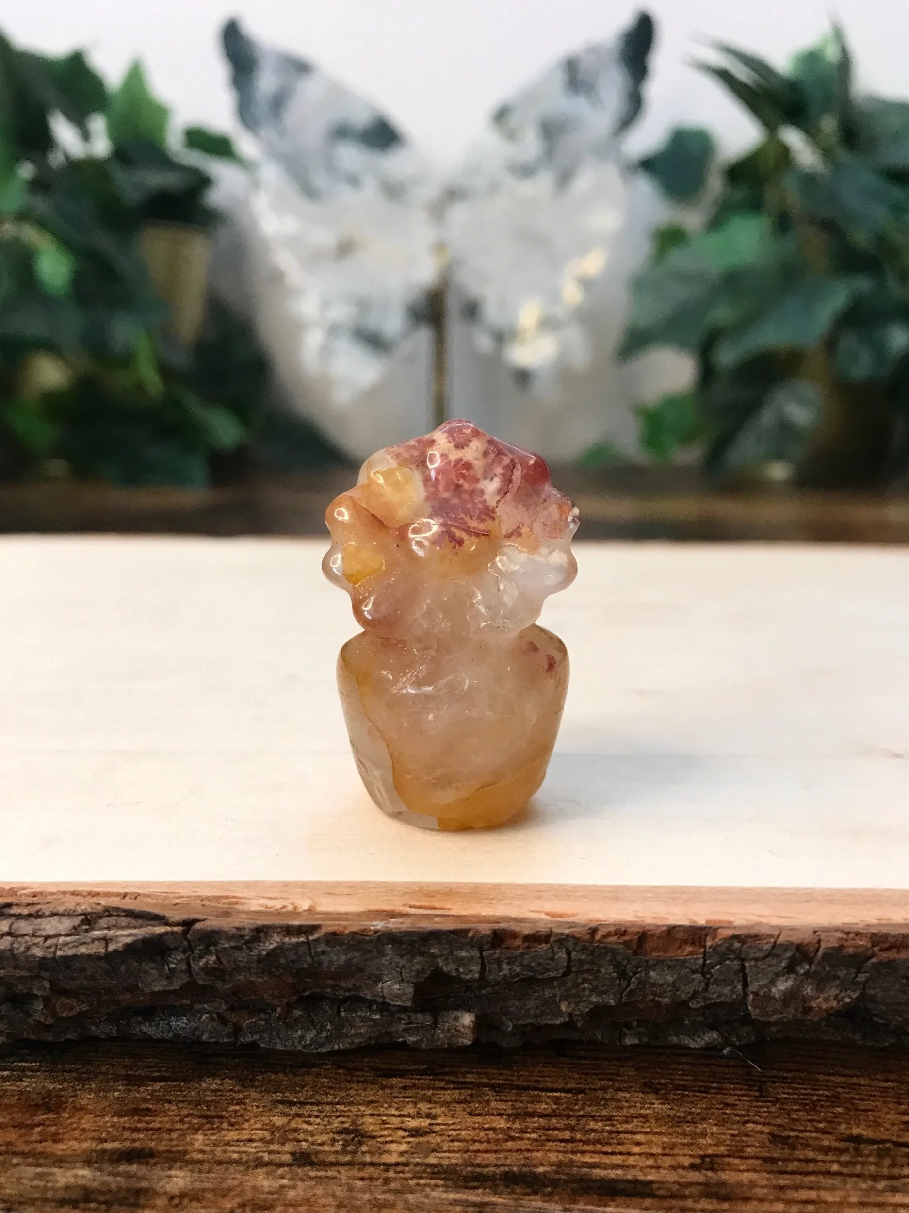 Golden Healer & Fire Quartz Flower Pot