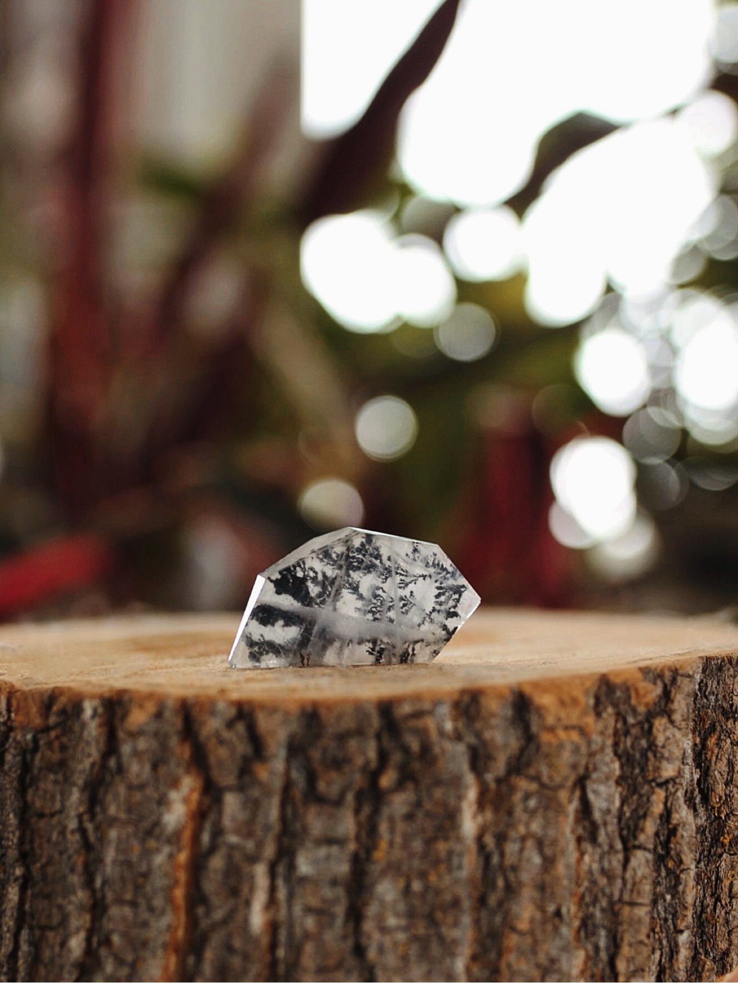 🌿𝕯𝖊𝖓𝖉𝖗𝖎𝖙𝖎𝖈 𝕼𝖚𝖆𝖗𝖙𝖟 🌿
Immerse yourself in the magic of Dendritic Quartz ✨ 

This prized collectors stone has a whole world inside, often whispering stories to those who connect with it. The unique inclusions resemble the beauty of natu