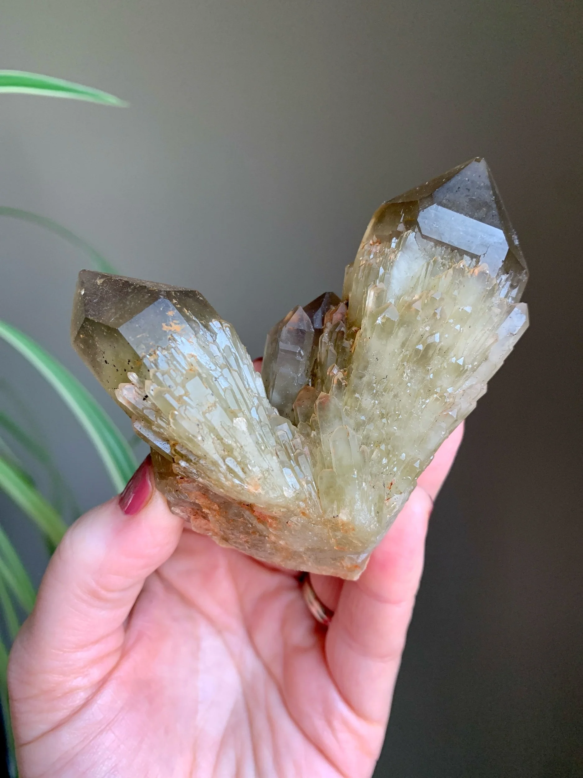 Kundalini Citrine Cluster