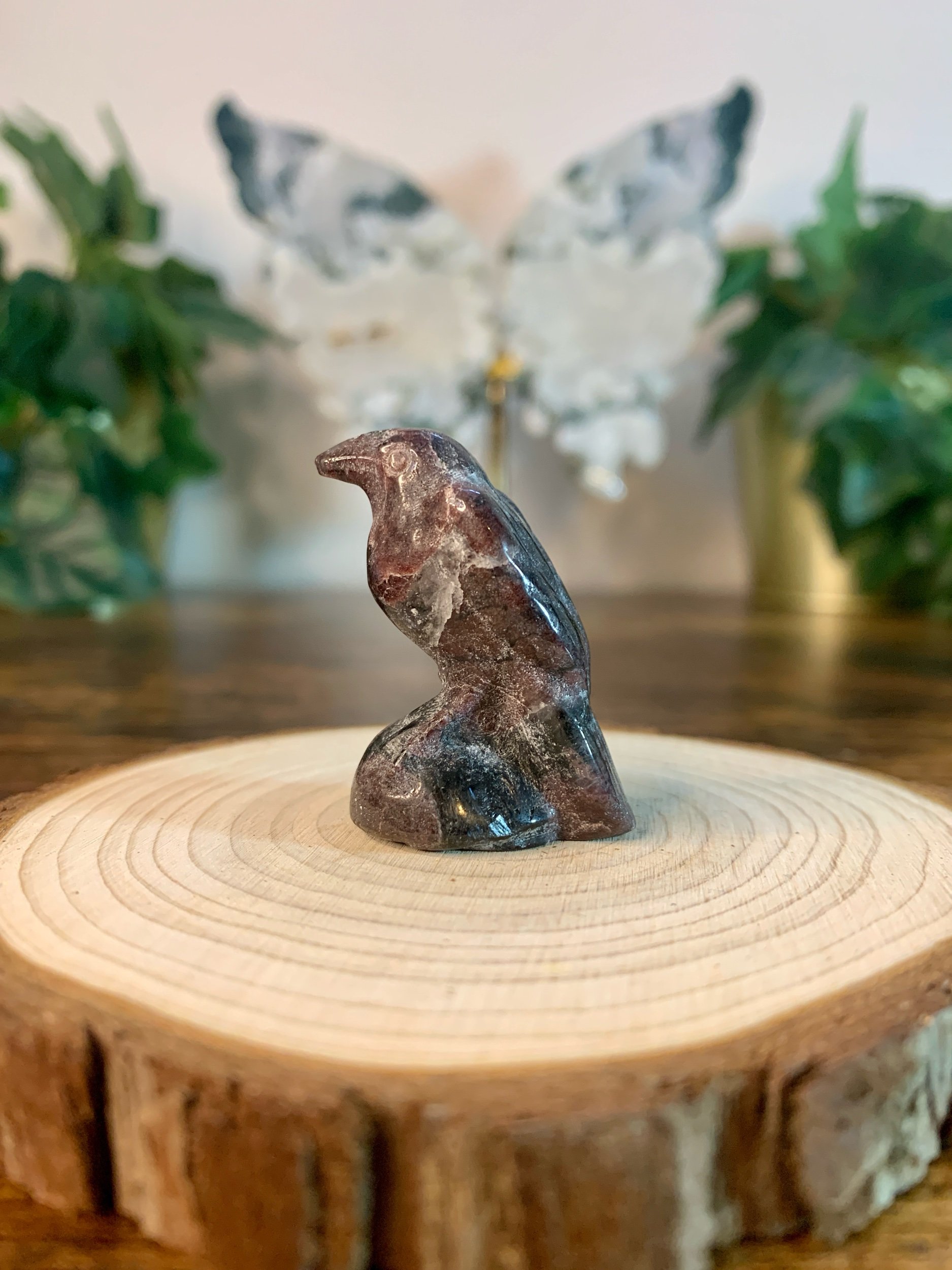 Garnet Raven