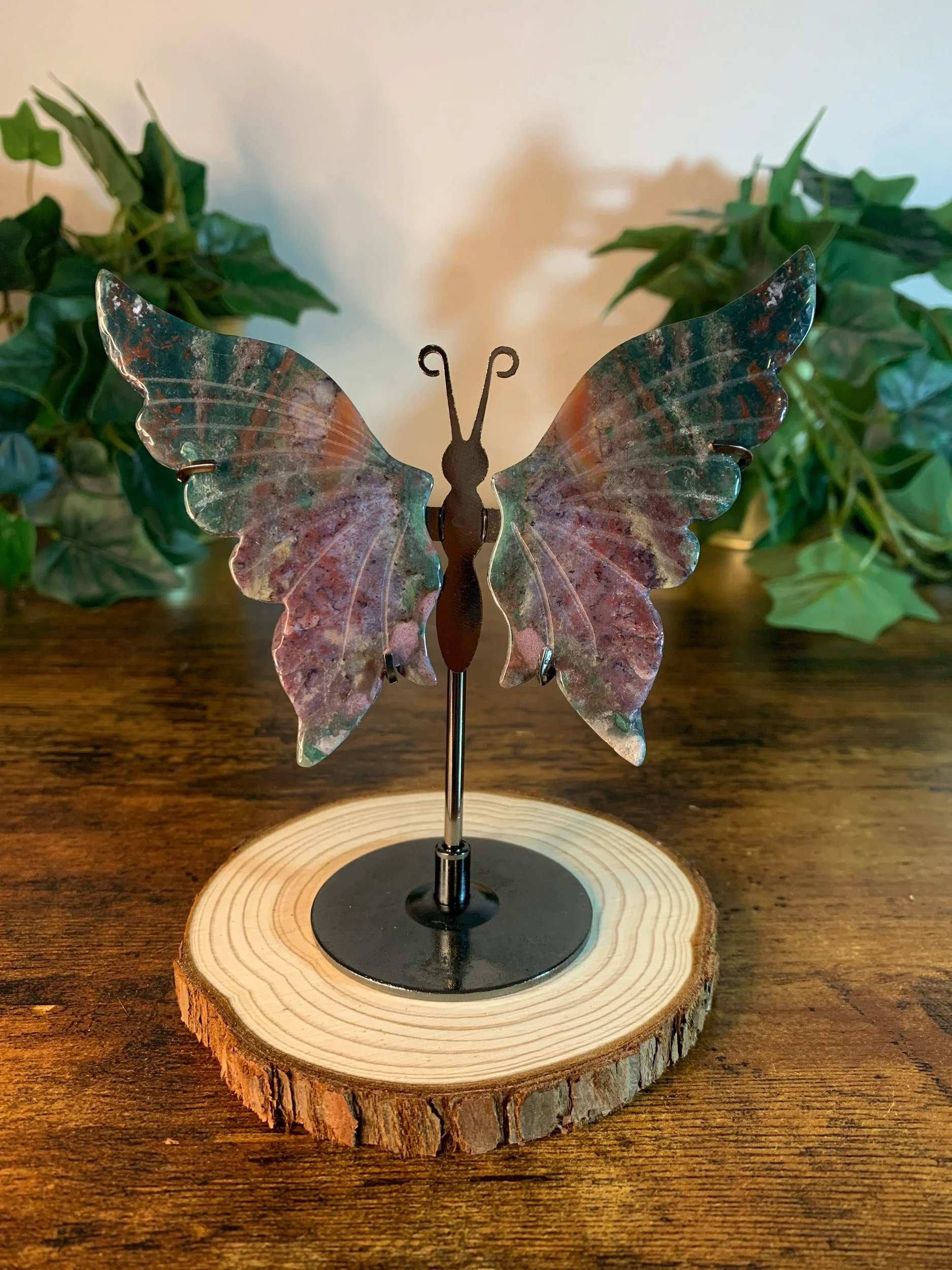Ocean Jasper Butterfly