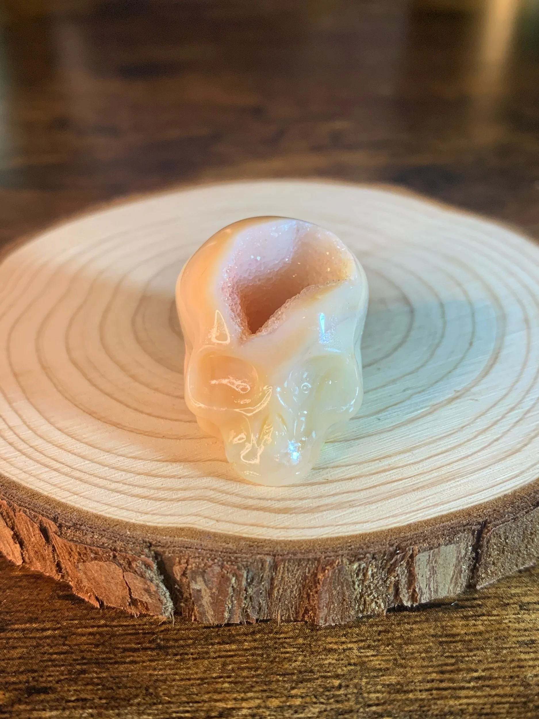 Druzy Agate Skull