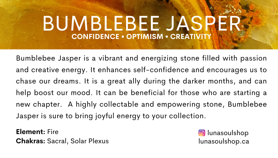 Bumblebee Jasper.pdf.png