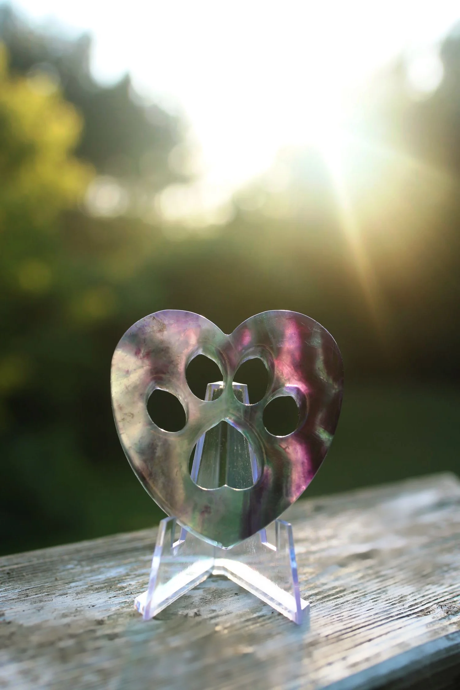 A heart-shaped, transparent decorative item with a skull design cut out in the center, displayed outdoors on a wooden surface with sunlight and blurred greenery in the background.