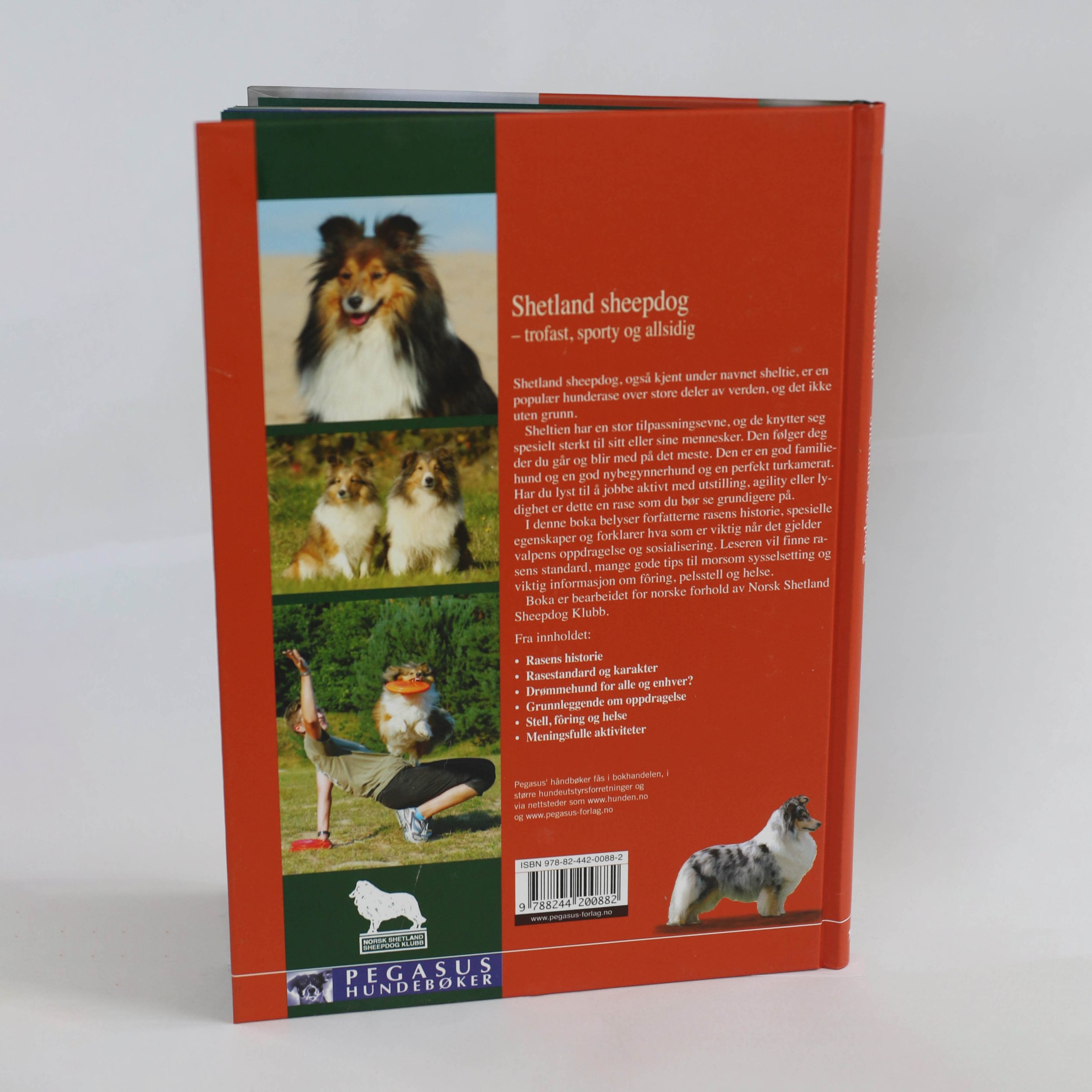 Shetland Sheepdog bok 02.jpeg