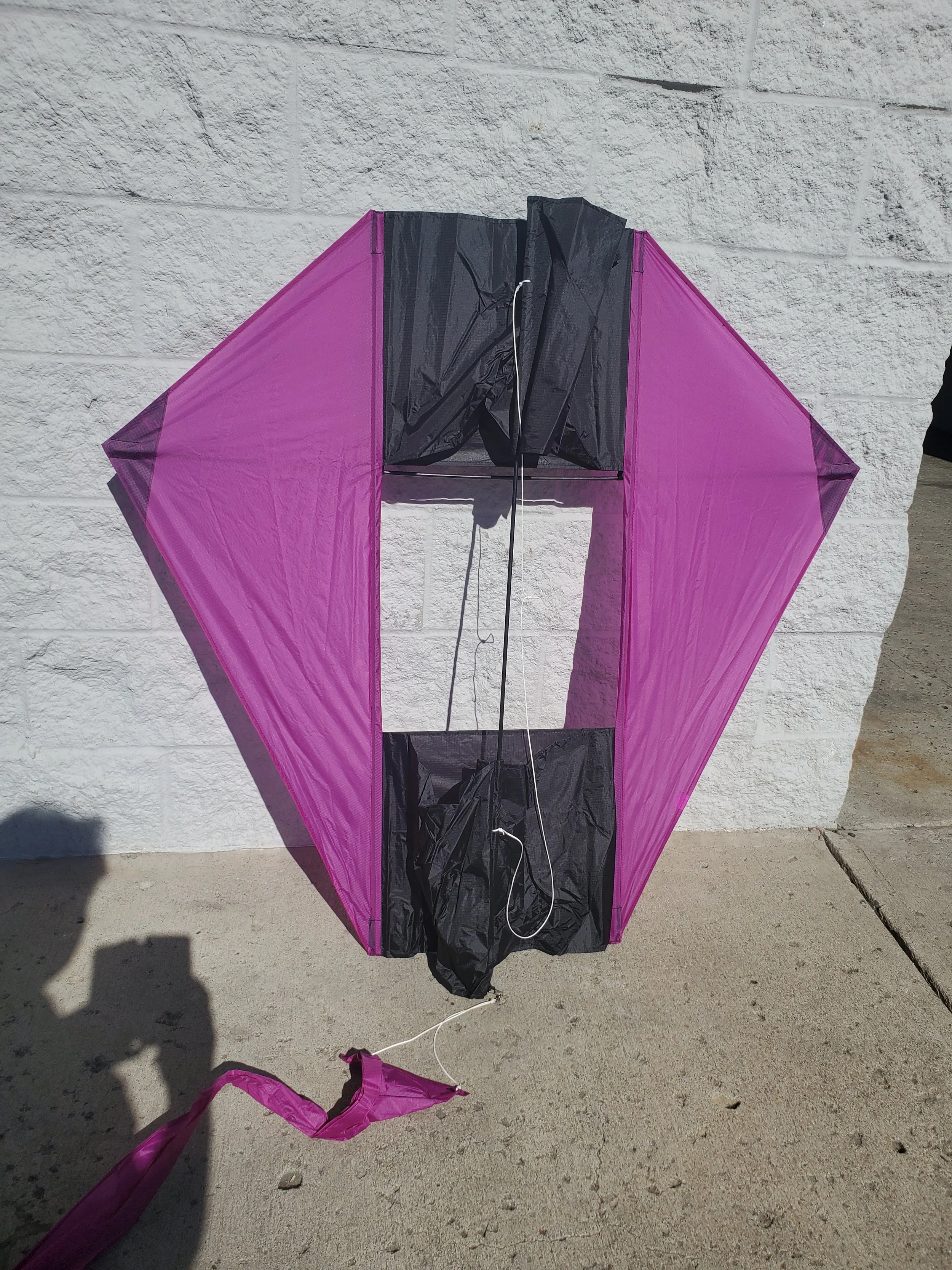 Single Line Kites — Store 2 — Kite Country