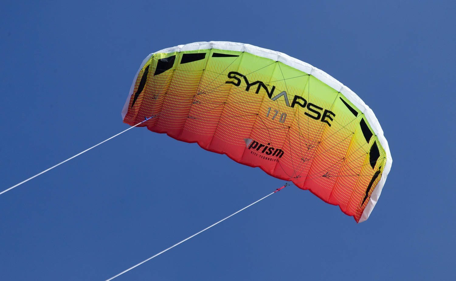 Synapse 170