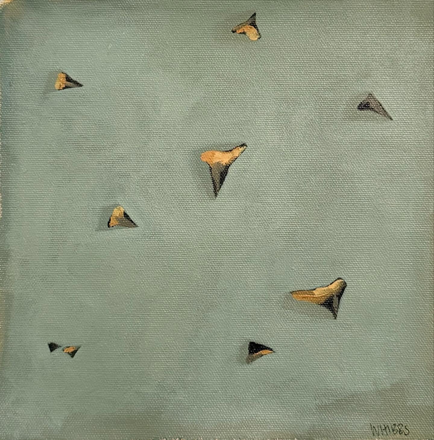 Painting these pieces brought back some of the best memories of being on Casey Key, the most amazingly skinny strip of land where your front yard is the gulf and your backyard is the bay. 

All are available @palmbeachartistcollective 

#sharkteeth #