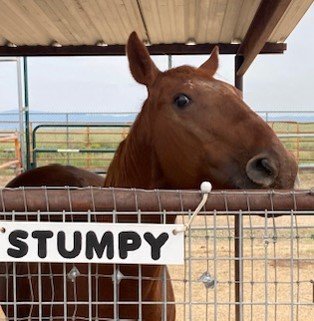 Stumpy