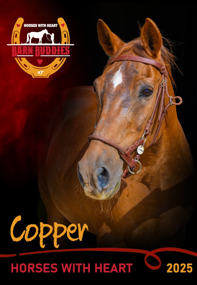 HWHbuddiesCopperfrt.jpg