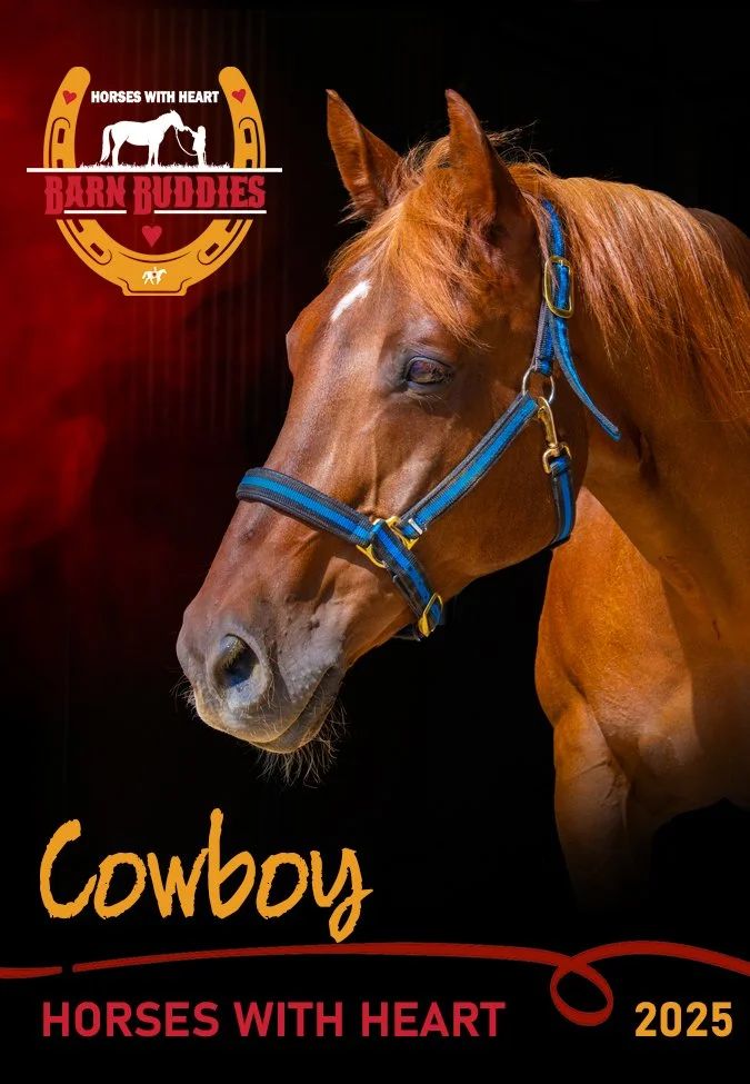 HWHbuddiesCowboyfrt.jpg