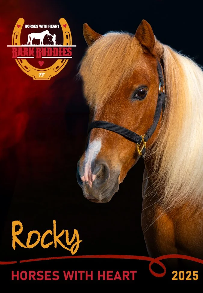 HWHbuddiesRockyfrt.jpg