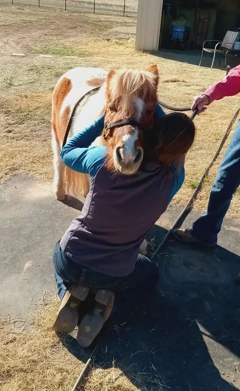 Rocky  Dr Madelyn and me_3_Dec 2025.jpg