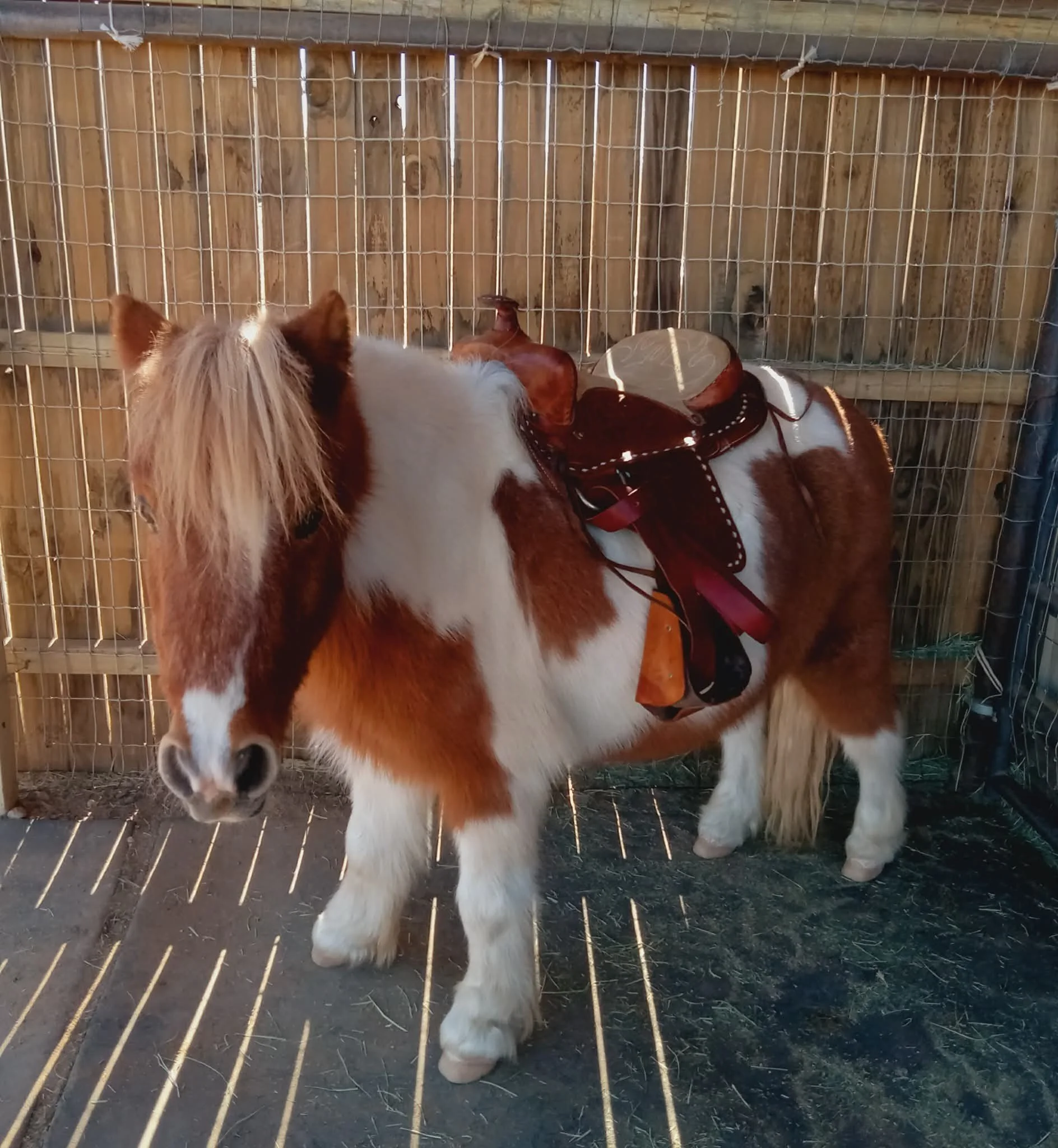 Rocky photo shoot.jpg