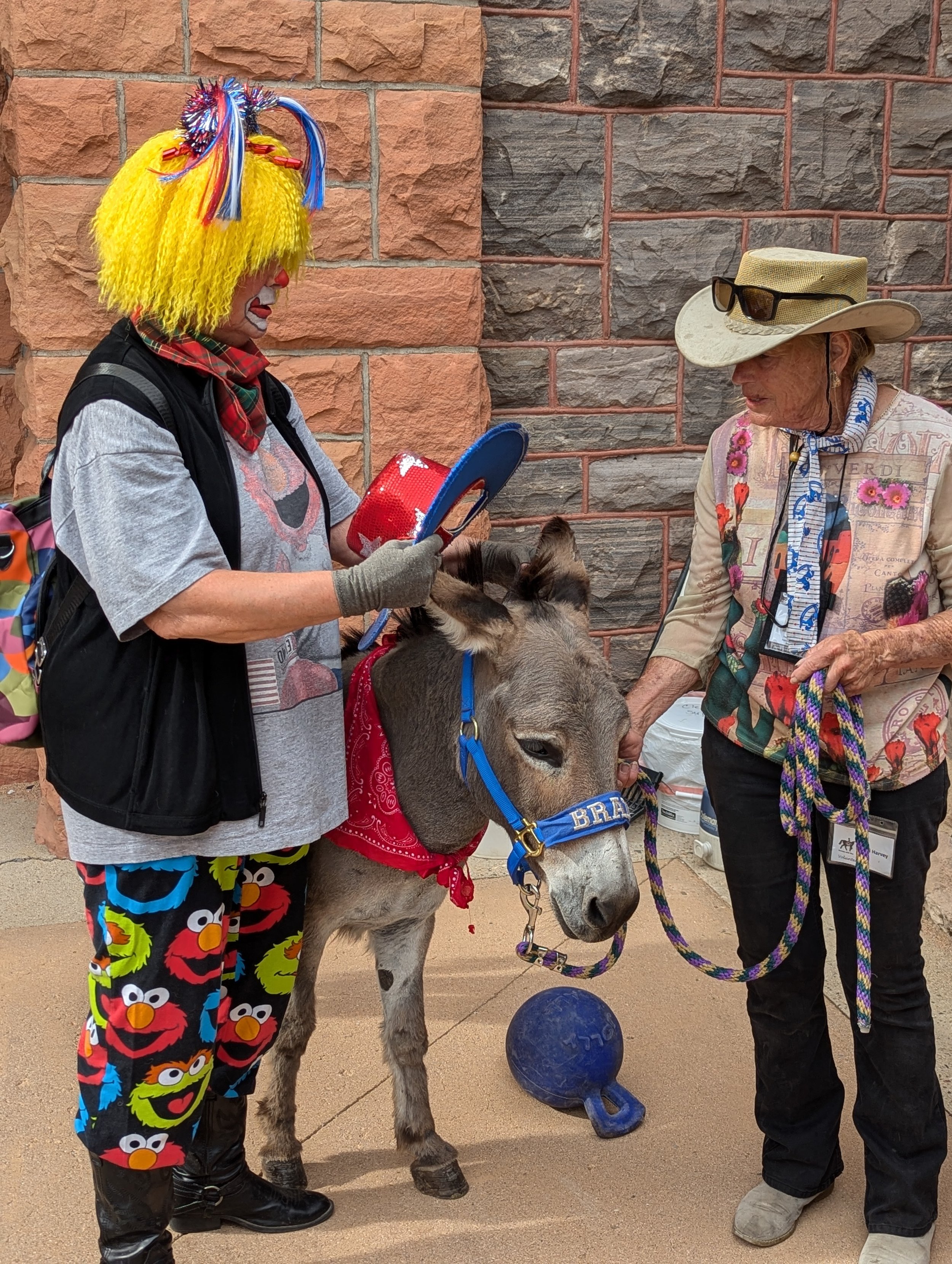 Snaffles the clown with Brady.jpg