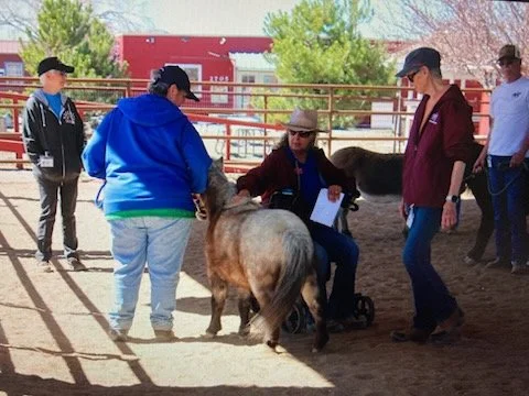 Sherry in wheelchair.jpg