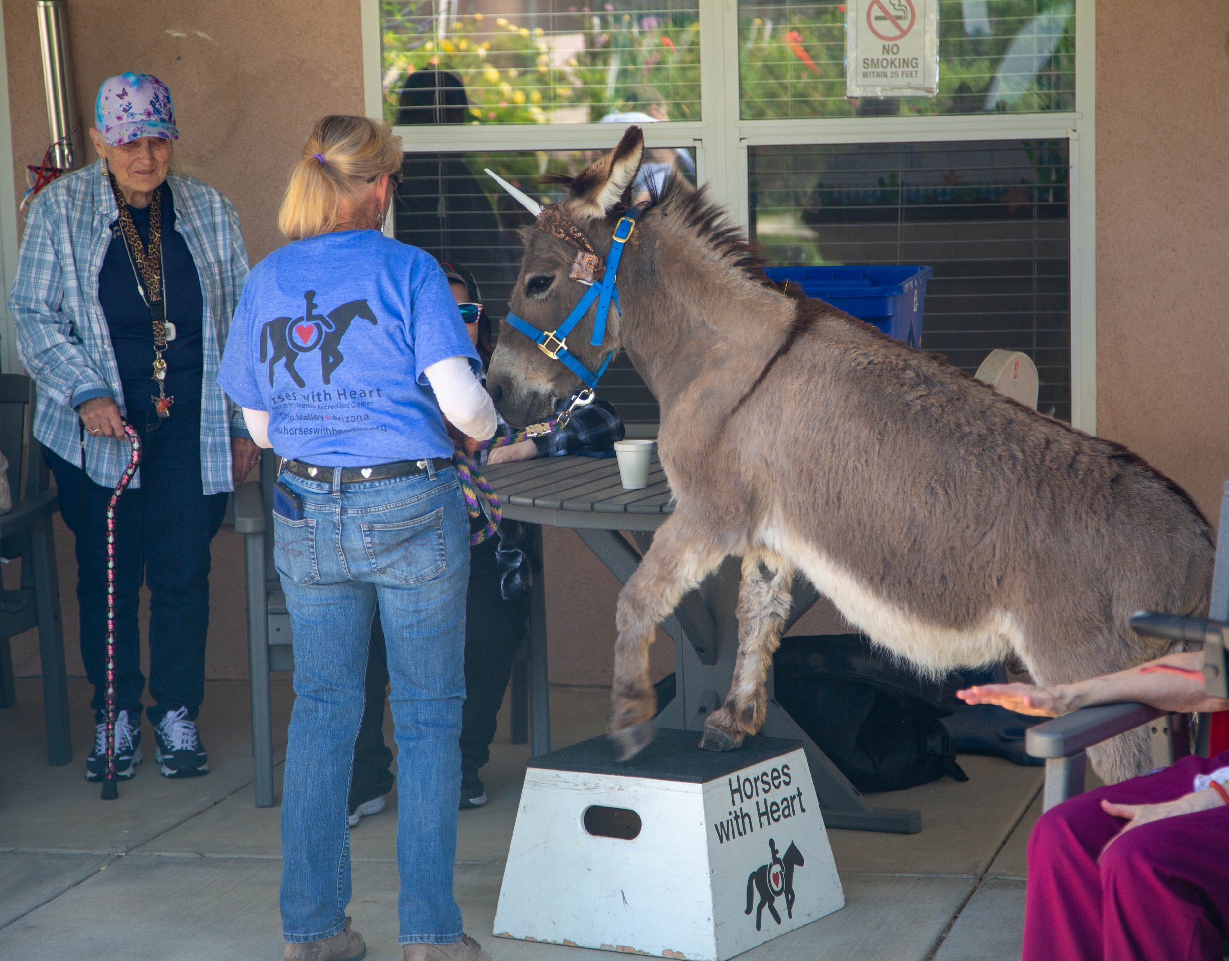UNICORN 2026   (6 of 21).jpg