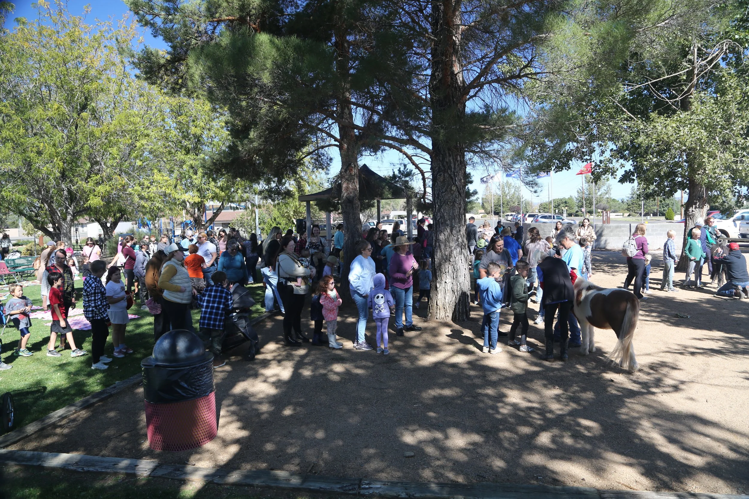 Chino Minis drawing a crowd.jpg