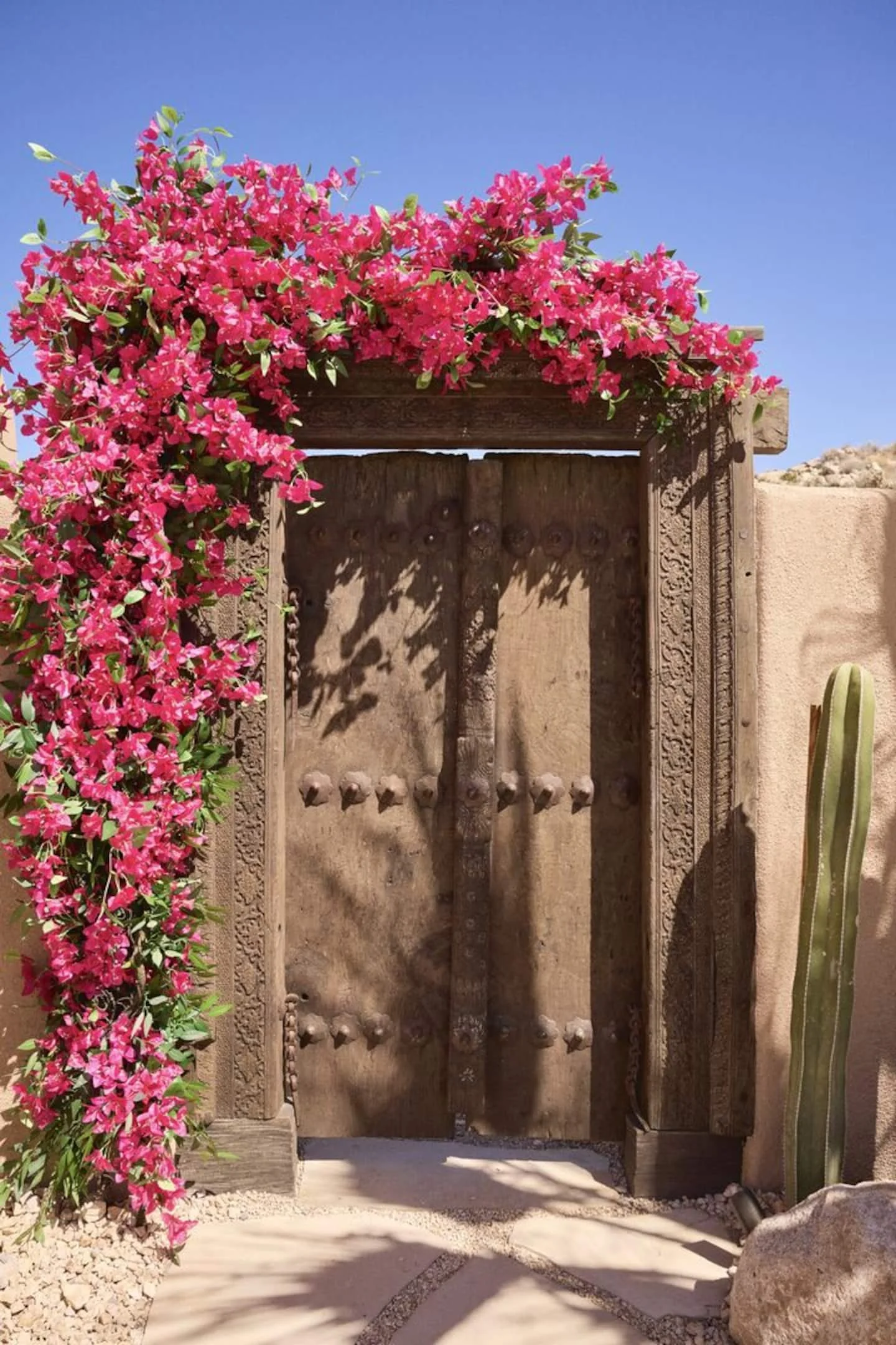 Rustic wooden door framed with pink bougainvillea flowers and green cactus, against a bright blue sky.