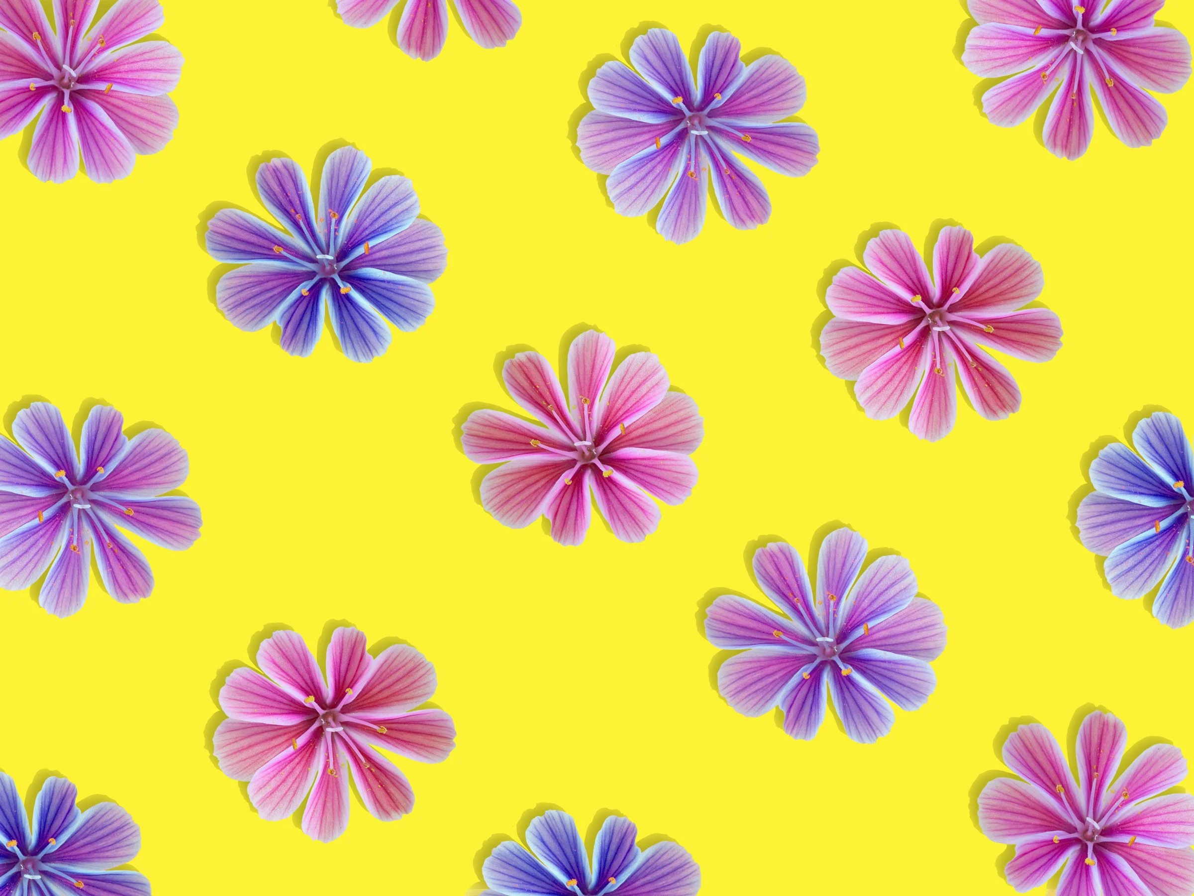 Pattern of pink and purple flowers scattered on a yellow background.