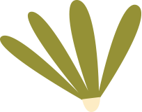 a stylized plant silhouette with multiple elongated leaves.