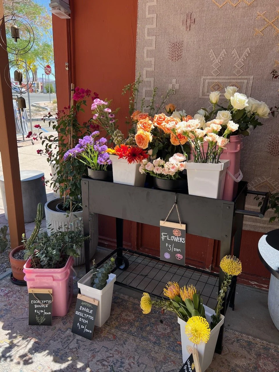 Display of various flowering plants for sale outside a shop, including roses, daisies, and eucalyptus, with signs indicating prices and plant types.