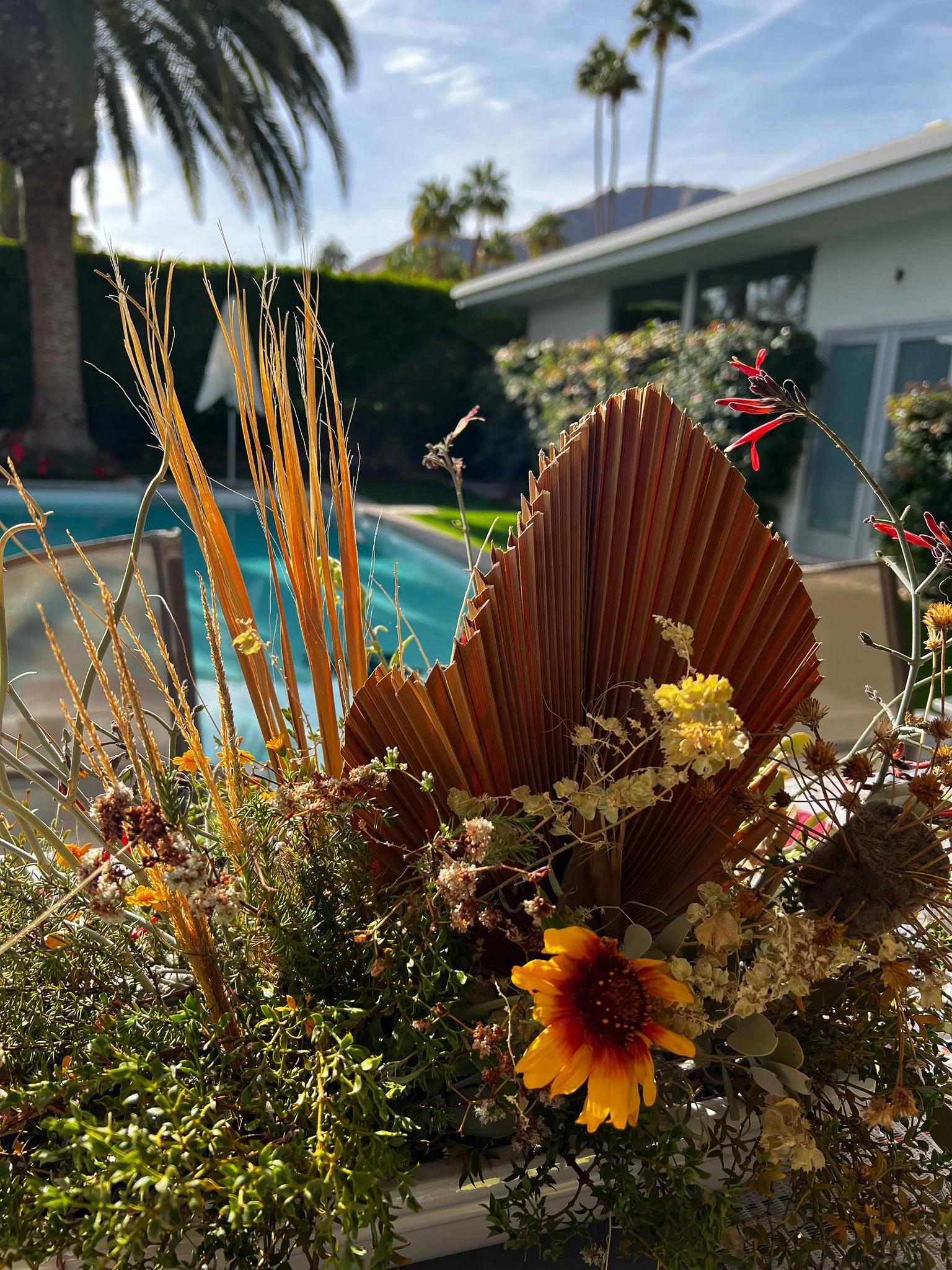 Arranged floral bouquet with dried leaves, yellow flowers, and grasses in front of a house with palm trees and a swimming pool.