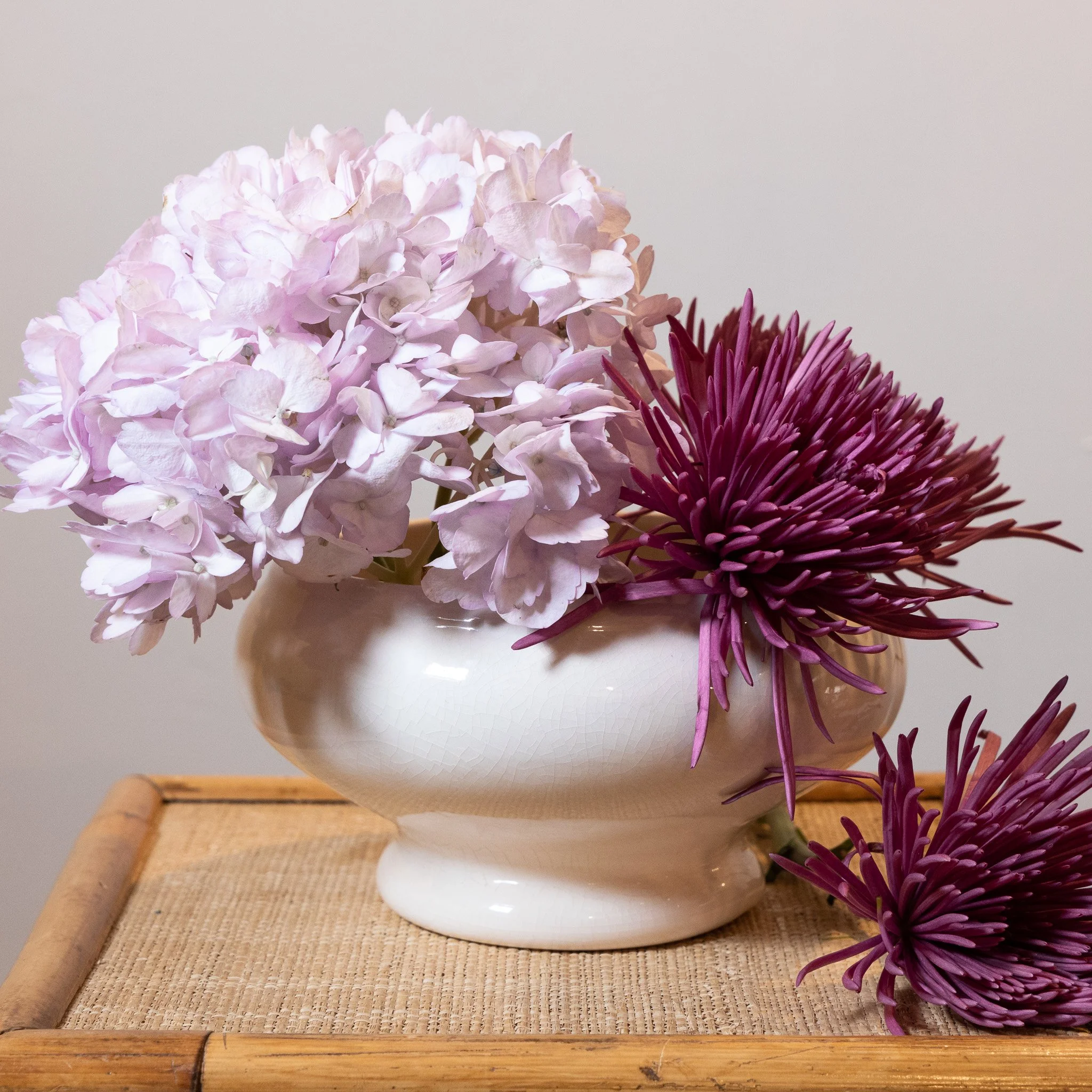 Light pink hydrangea flowers and dark purple spider mums in a white ceramic vase on a wooden table.