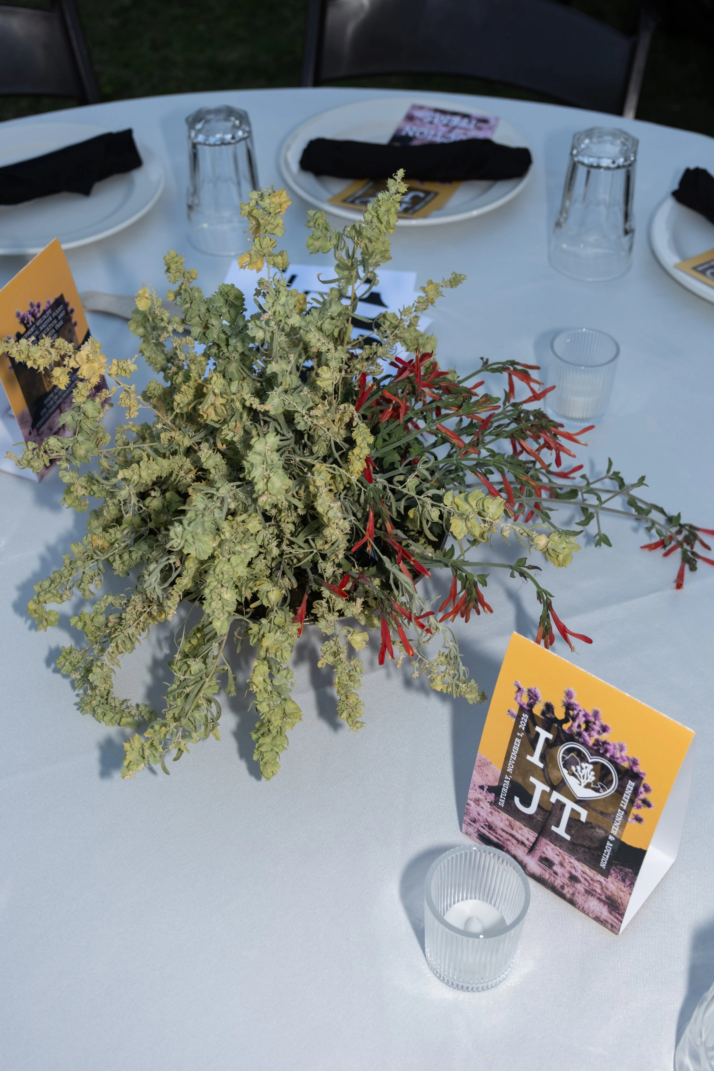 all desert native plant table centerpieces for Joshua Tree National Park Association's annual “I Heart JT” Benefit Dinner and Auction. photo: JTNPA/Paul Martinez