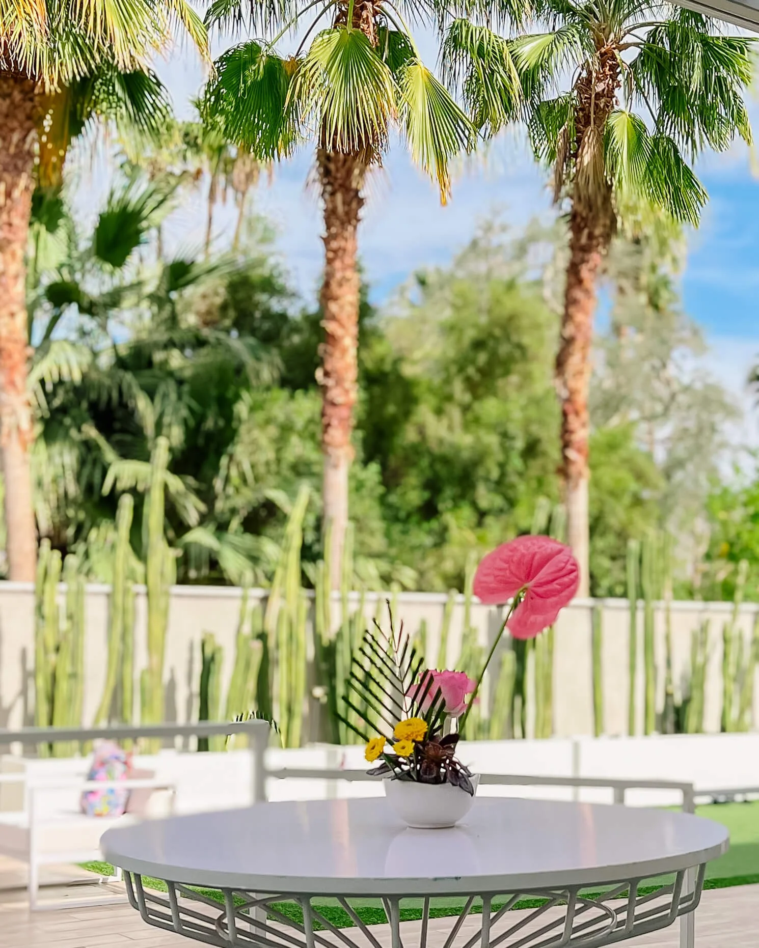 Small cocktail arrangement on a white, round cocktail table in a white bowl with a pink rose and anthurium, green palm frond, and yellow button mums. In the background are palm trees and tall cacti.