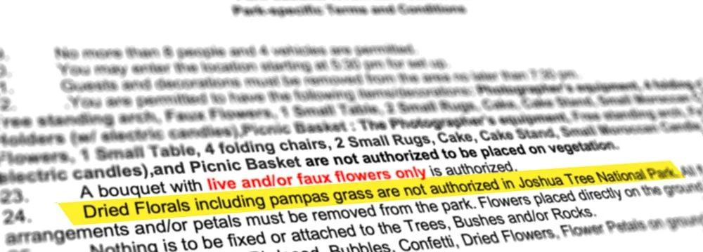 A portion of the Joshua Tree National Park Special Permit where it states "Dried Florals including pampas grass are not authorized in Joshua Tree National Park."