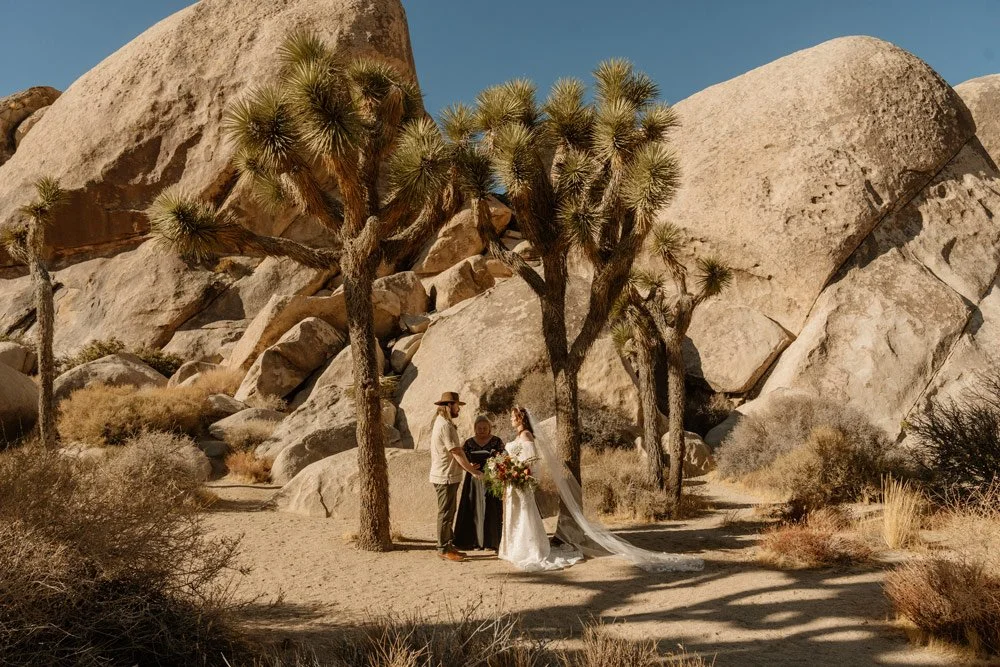 A bride and a groom stand on opposite sides of an officiant. They are surrounded by a grove of Joshua trees and large boulders are in the background.