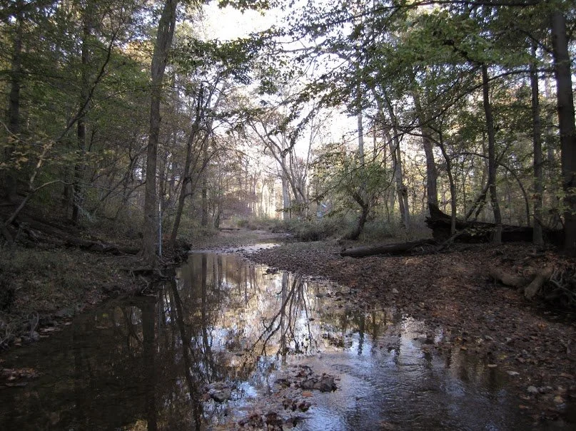 Ten Mile Creek still in danger: Judge Finds in Favor of Planning Board and Developer