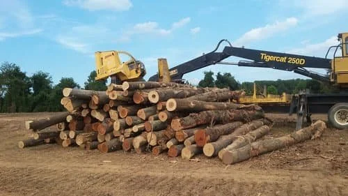 Take action to strengthen the MoCo Forest Conservation Law