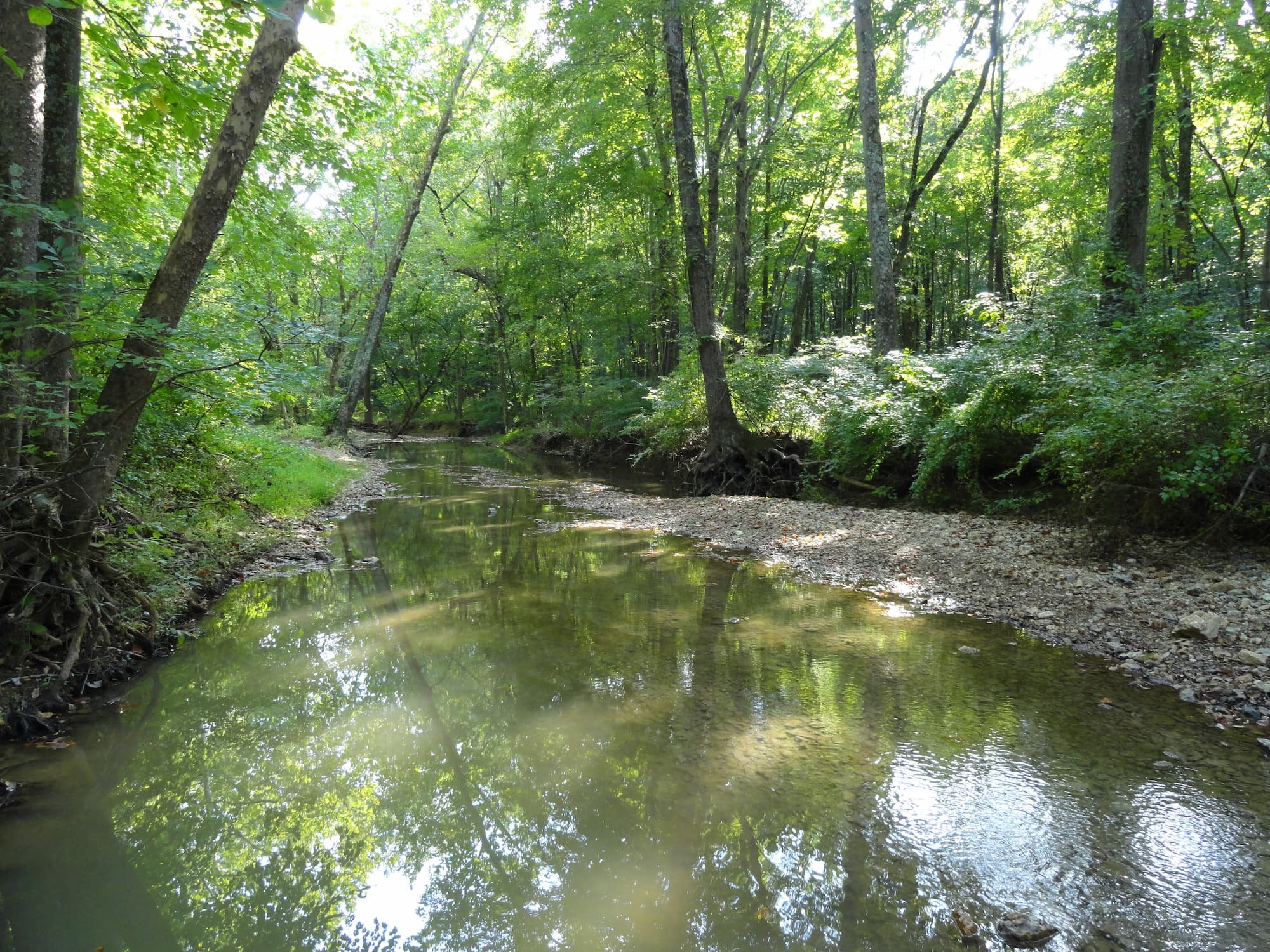 Ten_Mile_Creek_Moreau.jpg