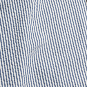 Swatch - Blue Stripe.png