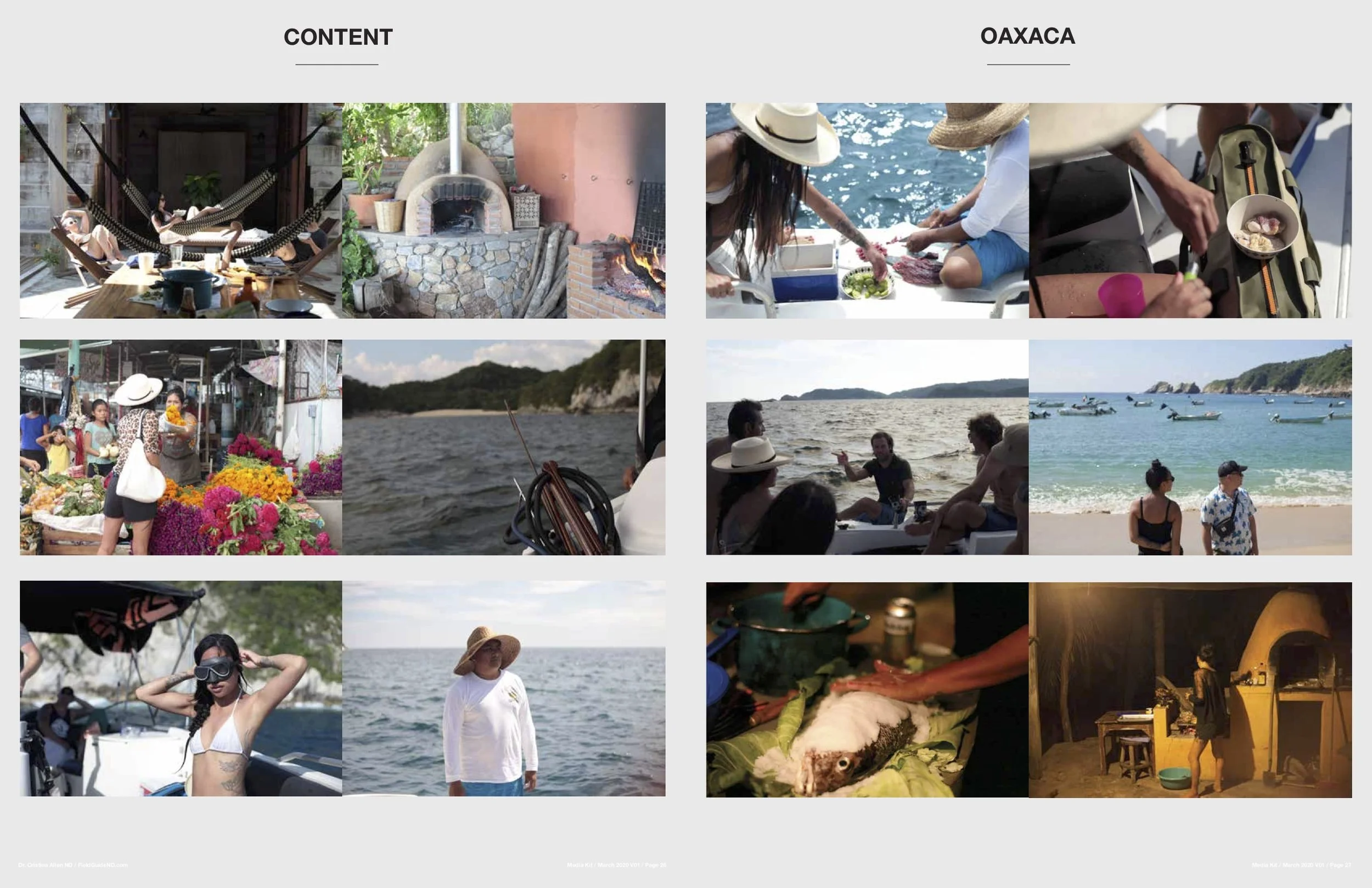 Field Guide Media Kit14.jpg