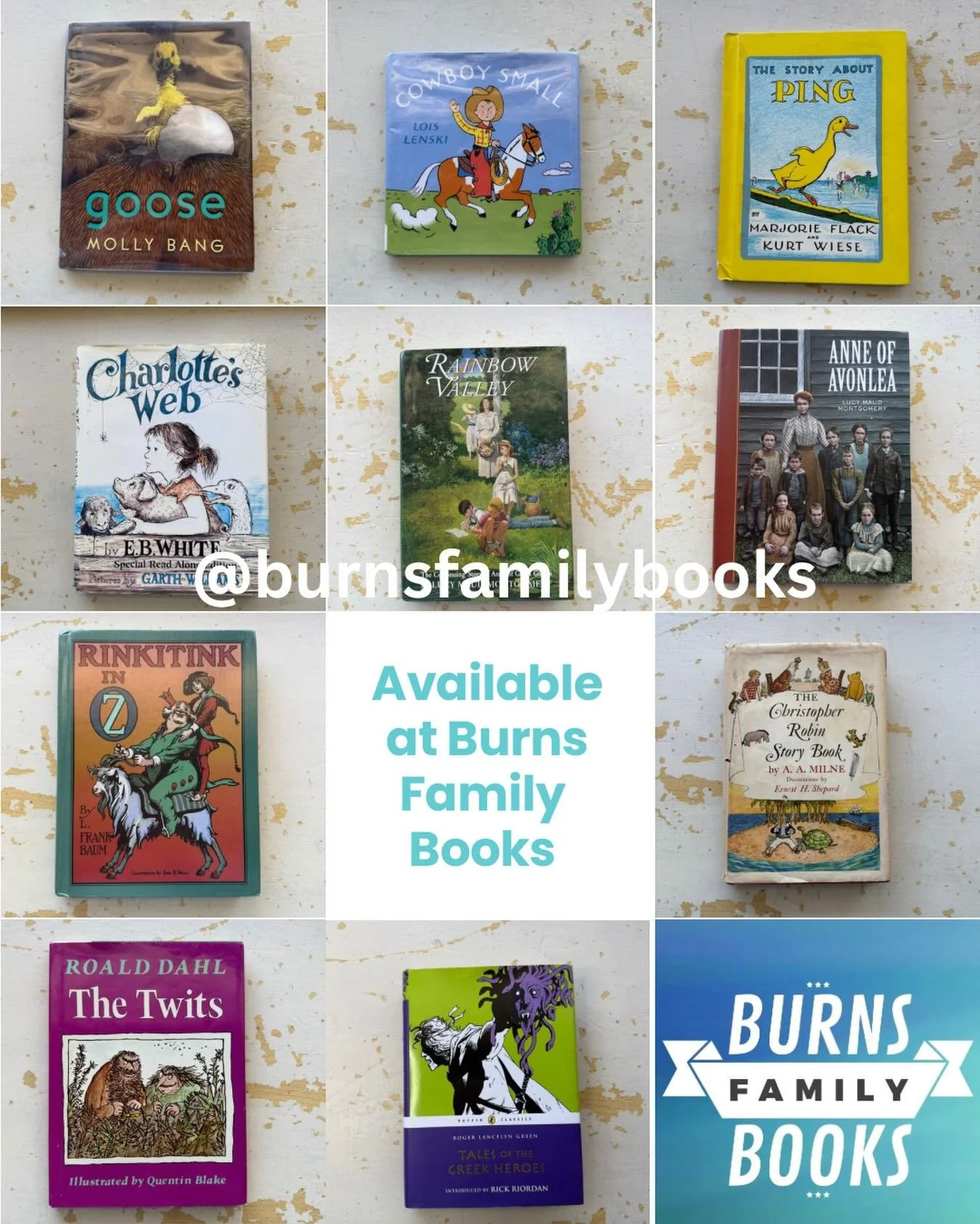 **Shop Share!**

@burnsfamilybooks has such a wonderful collectible n of books to choose from!
