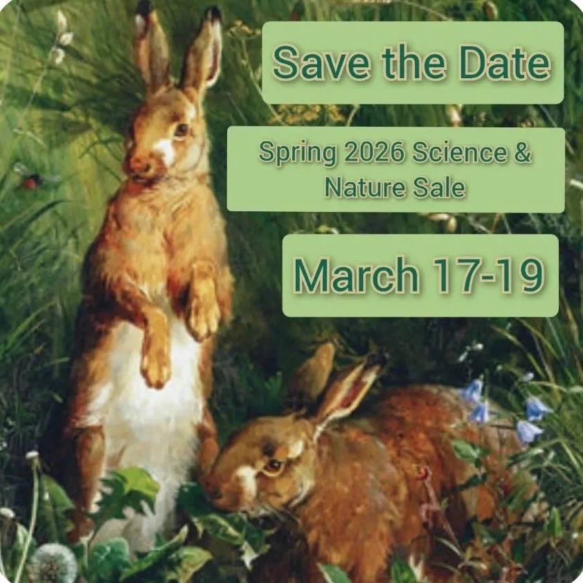 Spring is the ideal time for Science and Nature Sale! 

Be sure to shop this sale March 17th-19th with these shops:

@crinkledpagesprose
@overflowbookshelf
@abbiecanread
@secondhandstacks

@heirloompages
@thee_lilac_owl
@vintagetoyshoppe
@cozycottage