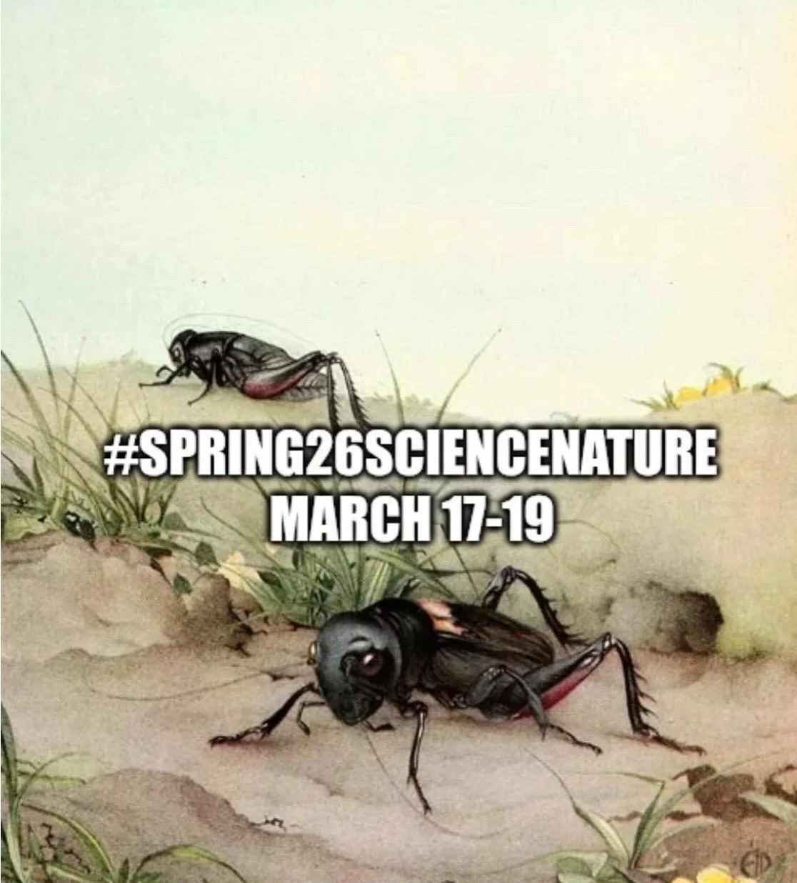 Join us next week, March 17th-19th, for the #spring26sciencenature sale!

I&rsquo;m so excited to share my collection with you all!

Participating shops: 

@crinkledpagesprose
@overflowbookshelf
@abbiecanread
@secondhandstacks

@heirloompages
@thee_l