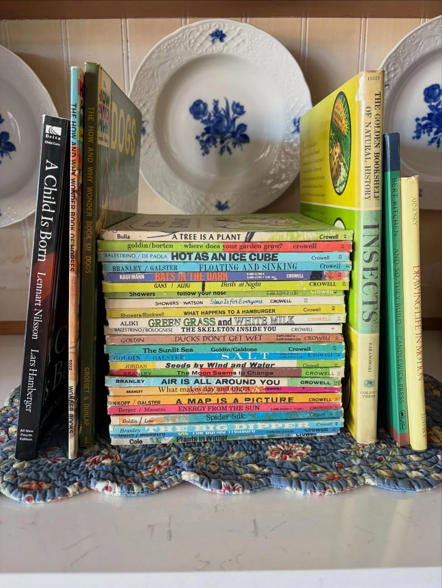 #spring26sciencenature preview!

All of these gorgeous science and nature books will be available next week, March 17th-19th!

Participating shops:

@crinkledpagesprose
@overflowbookshelf
@abbiecanread
@secondhandstacks

@heirloompages
@thee_lilac_ow