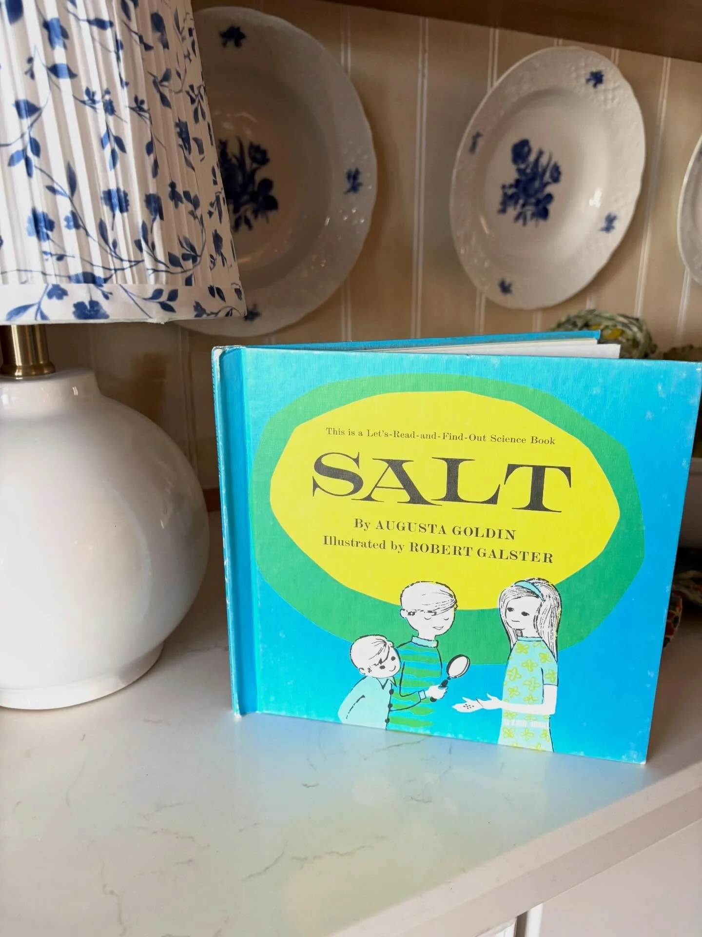 Let&rsquo;s-Read-And-Find-Out &ldquo;Salt&rdquo; by Augusta Goldin, 1965

(Harder to find)

Wonderful vintage science book for children that explains the what salt is, where it is found, and some of its many uses. This also includes a simple experime